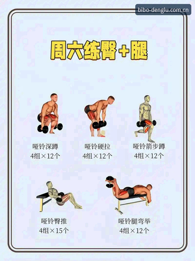 必博体育官网下载实用指南：新手也能轻松掌握的必备知识
